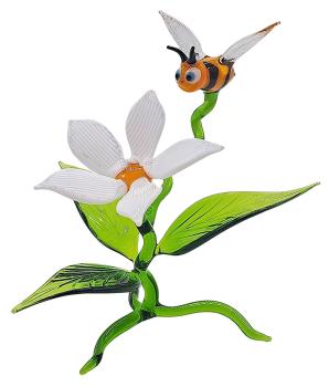 Blüte mit Biene, stehend / Blüte weiß